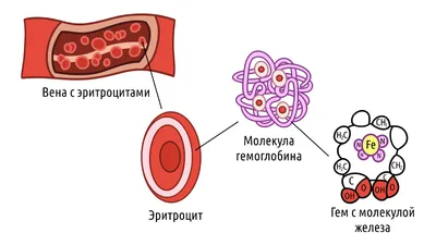 Весёлые картинки: коты на диете | Марина Урусова | Дзен