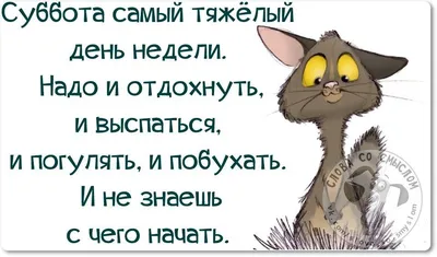 Картинки дни недели суббота с добрым утром прикольные | Субботы, Смешные  высказывания, Цитаты