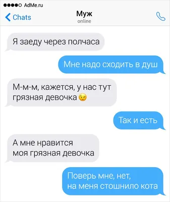 Новые картинки прикольные смешные