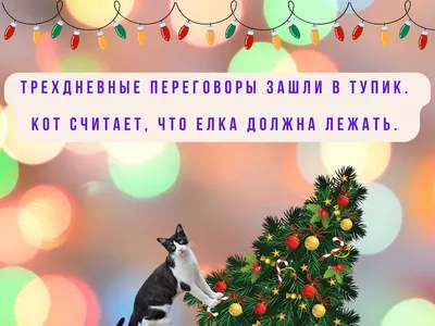 С Новым годом 2024 — открытки с наступающим праздником, красивые картинки  на вайбер - Телеграф