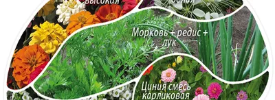 Интересные идеи для сада и огорода своими руками - Agro-Market24