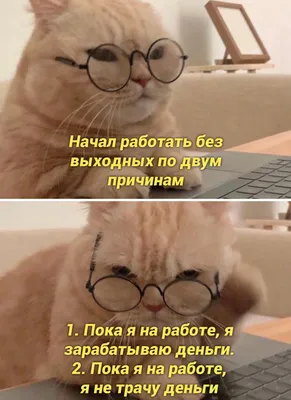 каша, голова, проблемы, юмор, отношения, работа, деньги, | Meaningful  pictures, Words, Comics