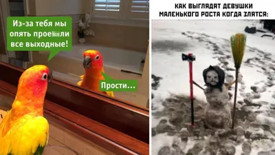 Прикольные картинки » Приколы, юмор, фото и видео приколы, красивые девушки  на кайфолог.нет