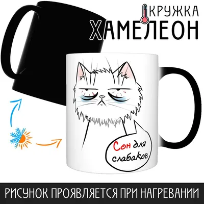 10+ шуток и приколов о работе, которые повеселят людей, изнывающих от жары  в офисе