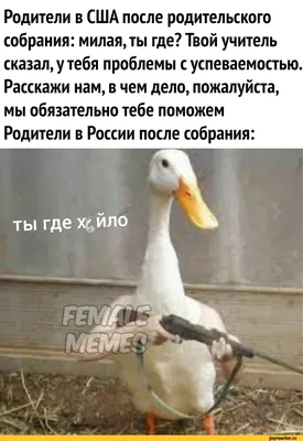 Для Вас, родители