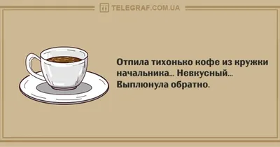 Только отличное настроение: прикольные анекдоты 1 февраля - Телеграф