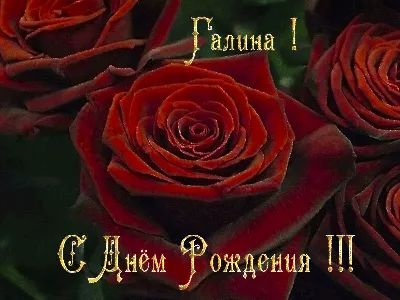 С днем рождения Галина прикольные поздравления - 74 фото