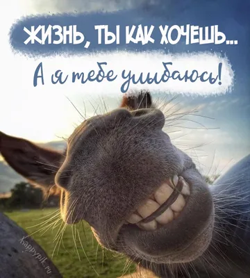 https://vk.com/peshkom_postoyu_smile_vk