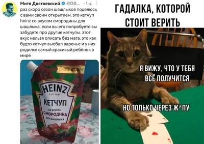 Картинки шашлыки на природе летом прикольные (66 фото) » Картинки и статусы  про окружающий мир вокруг