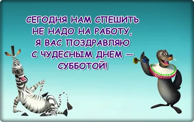 Картинки про Субботу прикольные – Привет Пипл!