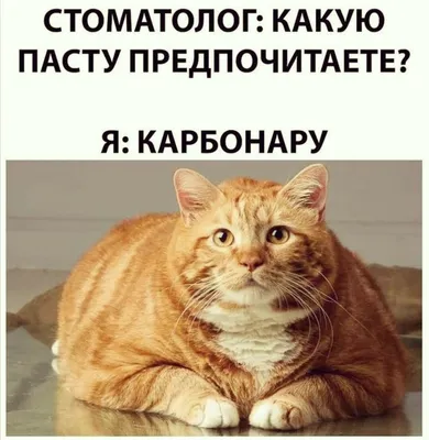 Приколы про отдых, или Что значит отдых? / Некто Нечто