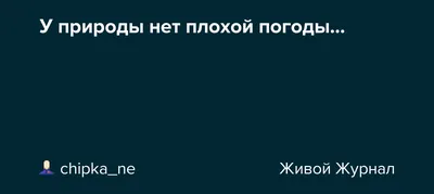 Открытки про погоду прикольные (40 фото) » Уникальные и креативные картинки  для различных целей - Pohod.club