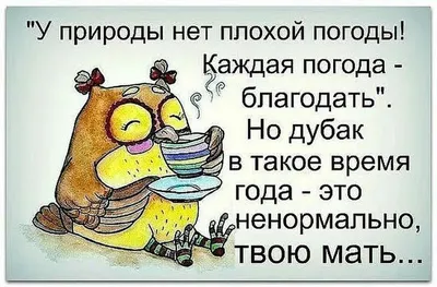 Холодное ЛЕТО - тоже ЛЕТО! У природы нет плохой погоды - YouTube