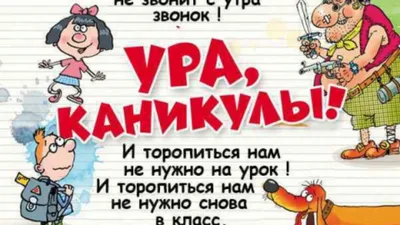 Пин от пользователя Muratkizi Aigerima на доске Веселые картинки | Смешные  открытки, Веселые картинки, Каникулы