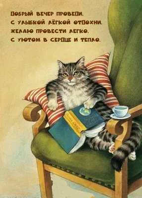 Красивое пожелание добрый вечер доброй ночи, 50 вариантов, в стихах,  картинках, открытках, гифках. Прикольные пожелания до… | Ночь, Смешные  открытки, Спокойной ночи