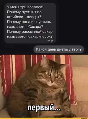 Приколы про диету картинки