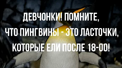 Декоративная табличка для похудения прикол LPI Home 25549354 купить за 61  700 сум в интернет-магазине Wildberries