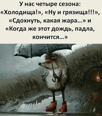 Про Погоду...🌨☔🌞 | Смешные высказывания, Юмористические цитаты, Смешные  надписи