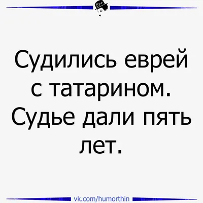 Татарстан :: Россия :: страны :: коты / смешные картинки и другие приколы:  комиксы, гиф анимация, видео, лучший интеллектуальный юмор.