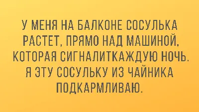 Анекдоты про гаишников и водителей Максим Клим — читать книгу онлайн в  Букмейте