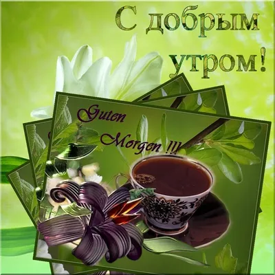 Мой Утренний Привет! Доброго утра! ☕🌹🌹🌹 | Доброе утро, Фотографии для  мотивации, Отбеливание кожи