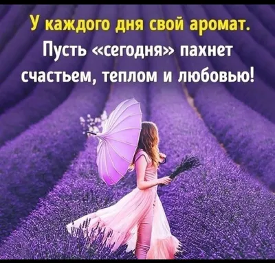 Привет, июль, плакат позитивной энергии изображение_Фото номер  400240849_PSD Формат изображения_ru.lovepik.com