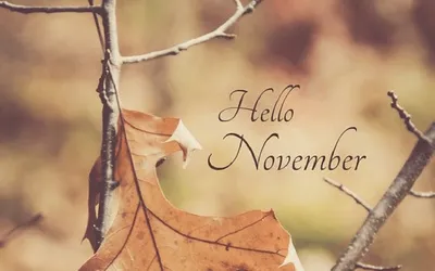 hello november - House of Beauty Chippenham