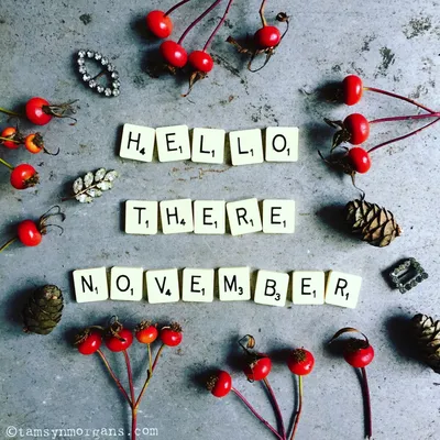 Free and customizable november templates