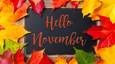 Hello November Vector Art, Icons, and Graphics for Free Download