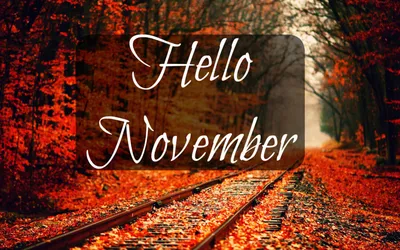 Tamsyn Morgans | Hello November!