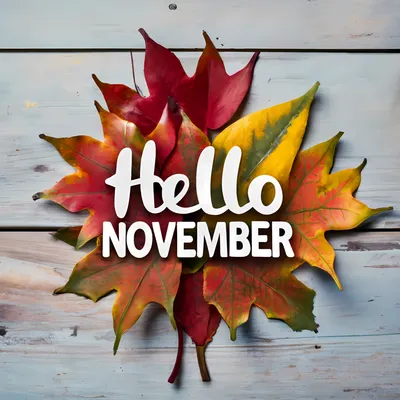 Hello November With Colorful Autumn Leaves HD November Wallpapers | HD  Wallpapers | ID #92213