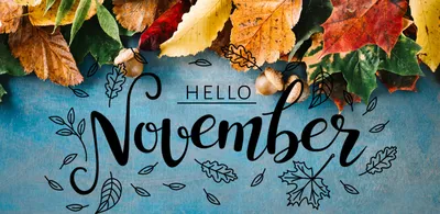 Hello November – Reflection – In My Everyday Life