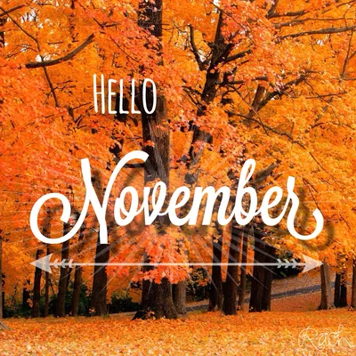 Hello November,Others PNG Clipart - Royalty Free SVG / PNG