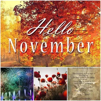 Page 2 - Free and customizable november templates