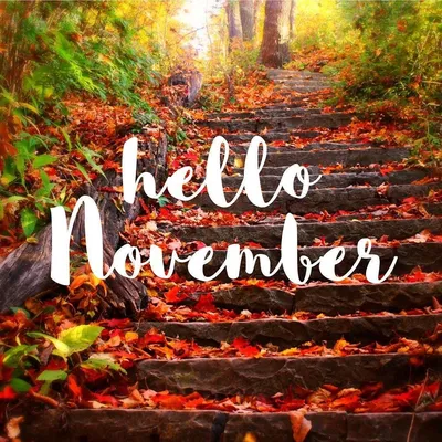 Hello November – Jenn Delle Fave