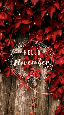 Hello november cute and awesome illustration 14017642 Vector Art at Vecteezy