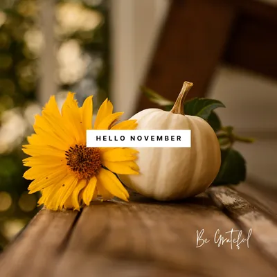 Page 2 - Free and customizable november templates