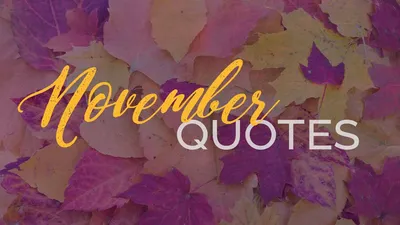 Hello November November png download - 2971*3000 - Free Transparent Hello  November png Download. - CleanPNG / KissPNG