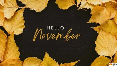 Hello November! – Tenderleaf Toys