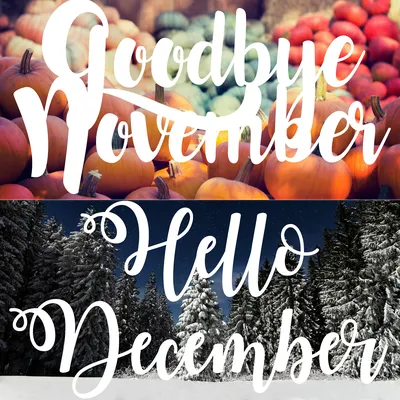 Page 3 - Free and customizable november templates