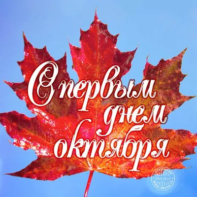 Привет, октябрь! 🍁 Вот уже скоро и Новый год)) Вообще не люблю глубокую  осень, октябрь люблю только до середины)), спасибо этому году… | Instagram