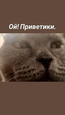 Приветик#РешисьНаПеремены #ОткрыткаМаме | TikTok