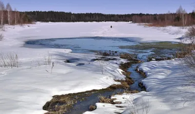 Признаки весны / Вот и появились первые признаки весны