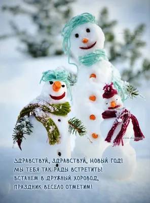 Сезонный каталог акций «Продолжаем отмечать» в Виктории с 7 января 2019 -  Москва