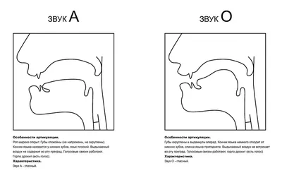 Артикуляция звуков в графическом изображении (логопедические  артикуляционные профили), Гном - купить в интернет-магазине Игросити