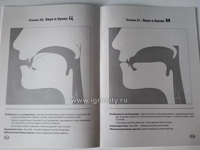 Артикуляция звуков в графическом изображении (логопедические  артикуляционные профили), Гном - купить в интернет-магазине Игросити
