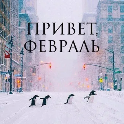 Снежный январь 2022 года | Заметки Натальи Чиженковой | Дзен