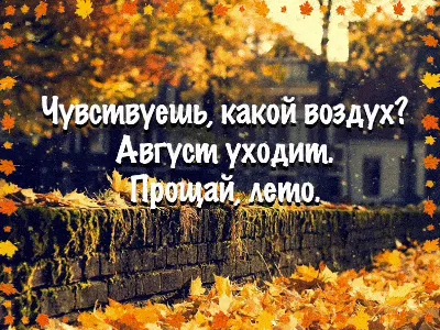 Прощай, лето! 2023, Аннинский район — дата и место проведения, программа  мероприятия.