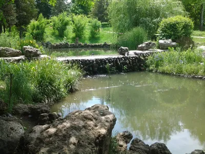 Пруд пластиковый садовый купить в Москве