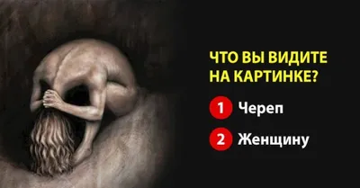 10 психологических тестов по картинкам.:\"Что вы увидели первым?\" — Рояль в  кустах (Mи Lа) — NewsLand